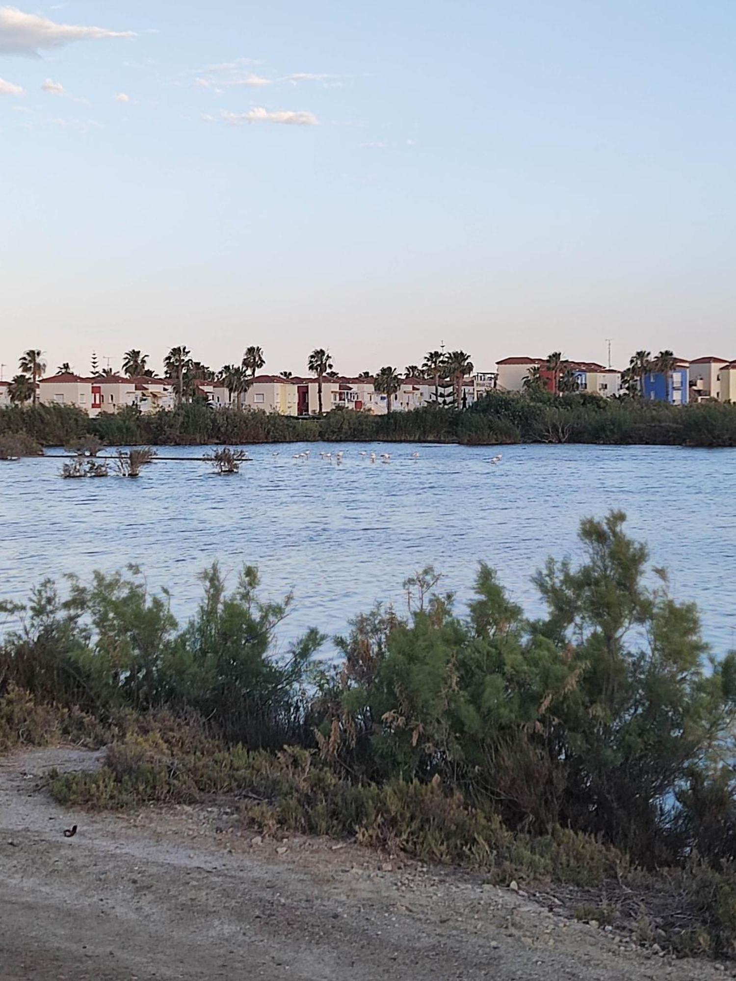 El Mirador De Torremari - Nudista - Vera Playa Eksteriør bilde